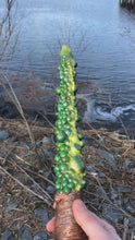 Load and play video in Gallery viewer, Atomic Ooze Wand Sculpture/Prop
